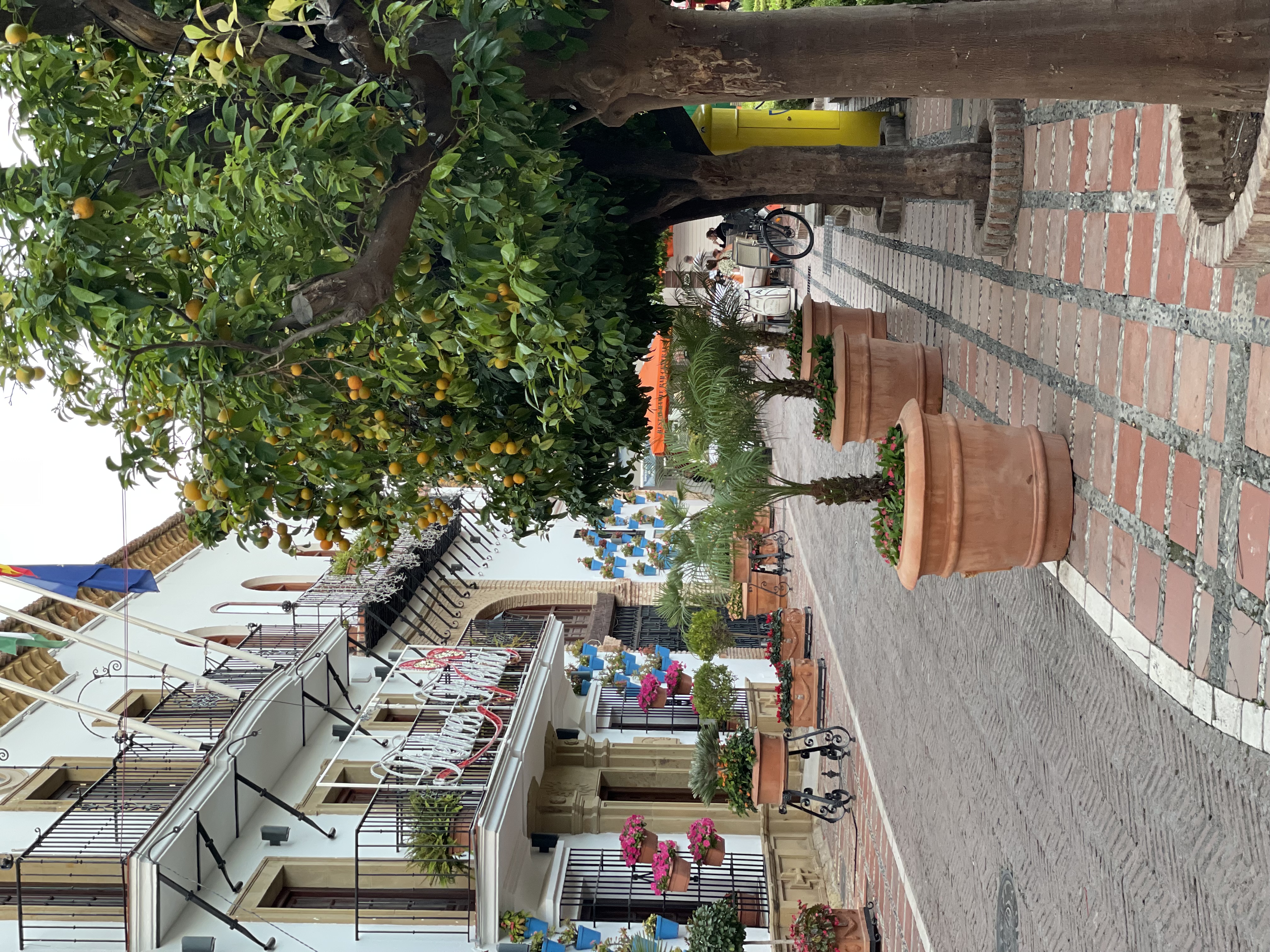 Plaza de los Naranjos