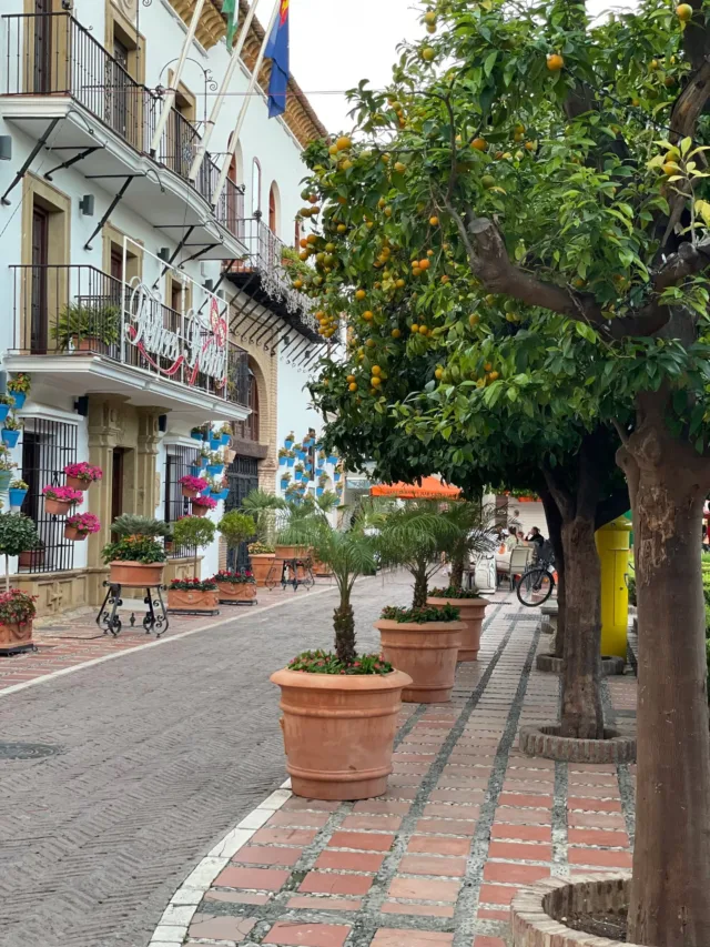 ¡Marbella es destino perfecto para desconectar! Ven y disfruta de todo lo que esta hermosa ciudad tiene para ofrecer. 🌅🍹 Puedes elegir  #campinglabuganvilla, te ofrecemos bungalows y parcelas para camper, caravana o autocaravana 🌞  #Malaga #Marbella #CostadelSol #campingsandalucia